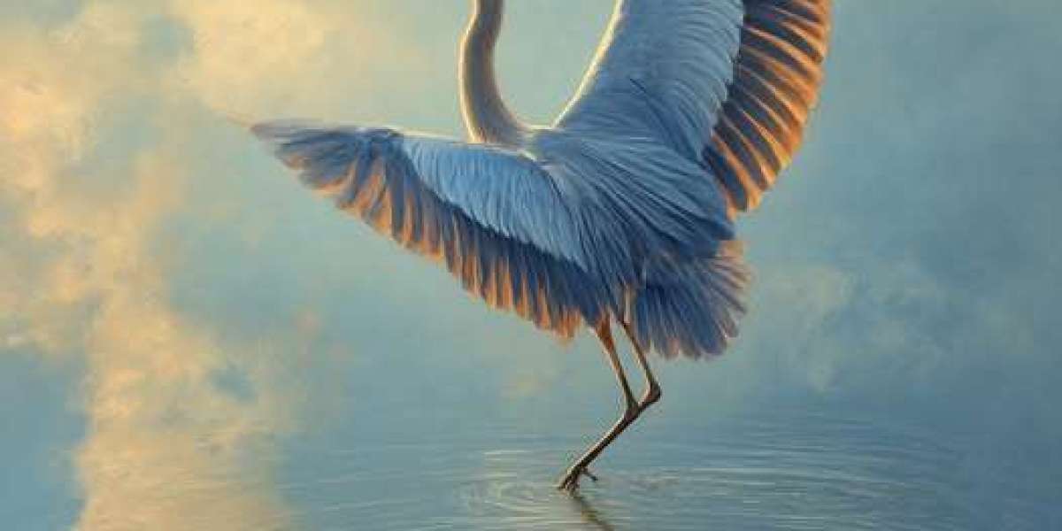 The One Who Dances with Light